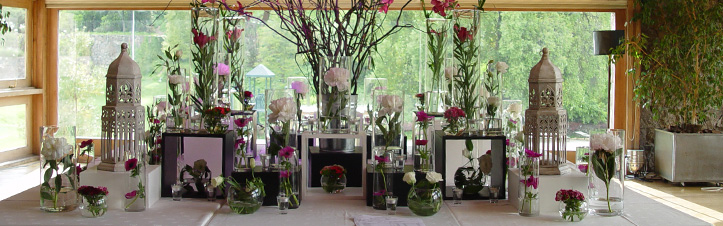 Contacto / Babette - Decoración y Eventos