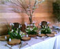Buffet 18