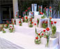Buffet 20