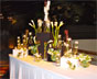 Buffet 08