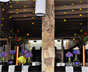 Decoración aerea 02